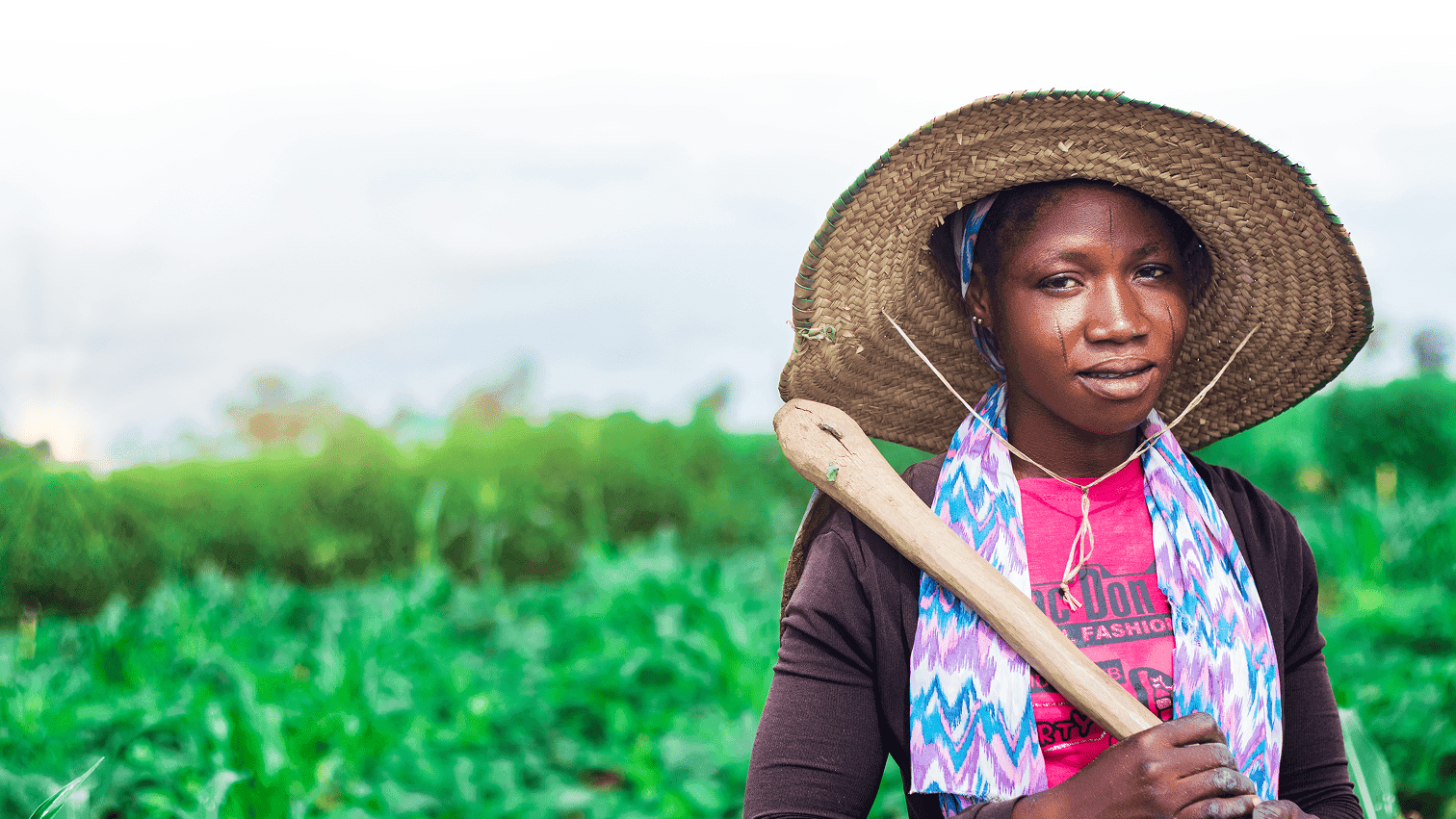 Regenerative Background